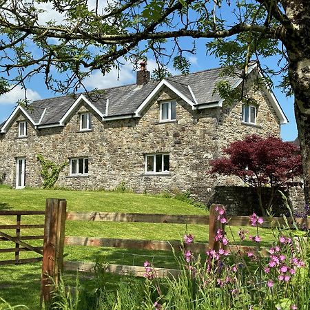 Maesyfelin Isaf B&B Llanybyther Dış mekan fotoğraf