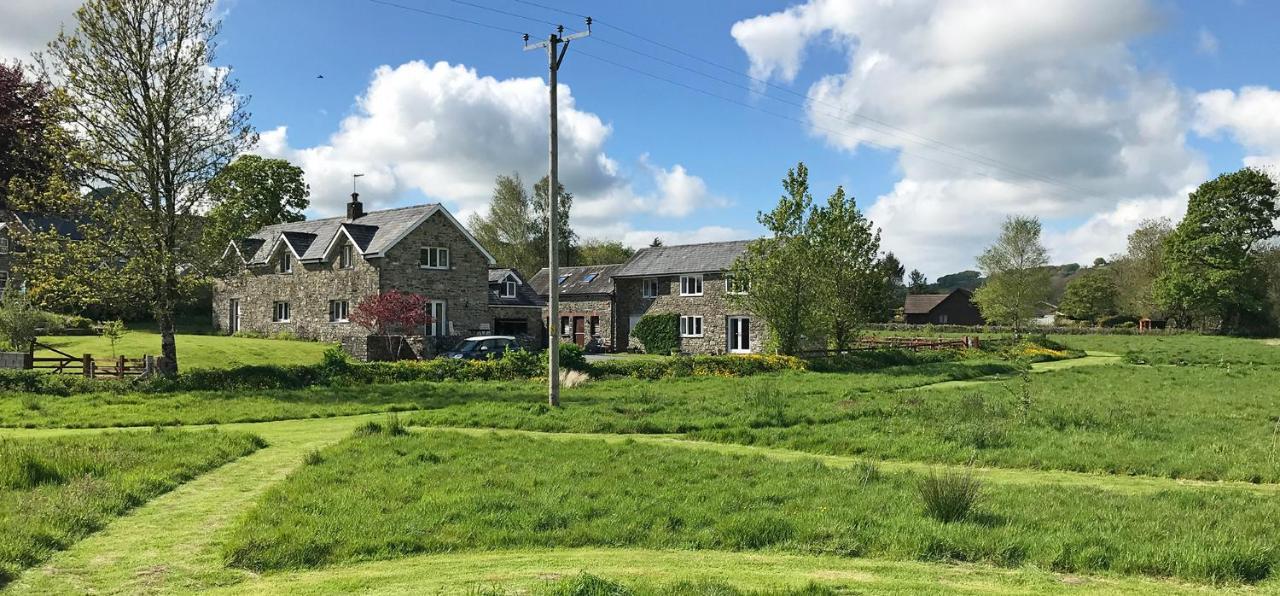 Maesyfelin Isaf B&B Llanybyther Dış mekan fotoğraf