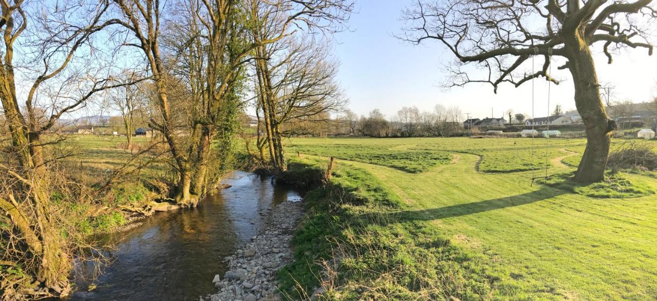 Maesyfelin Isaf B&B Llanybyther Dış mekan fotoğraf