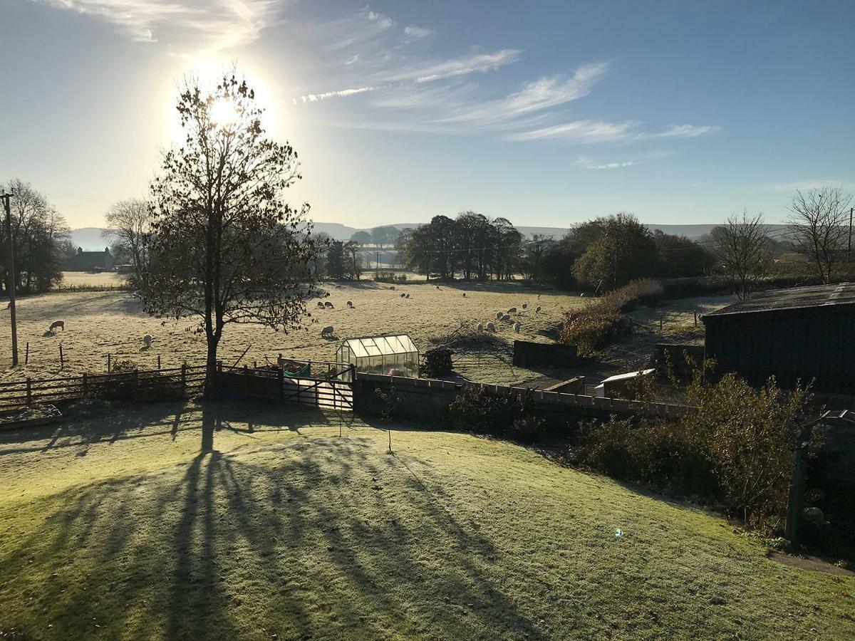 Maesyfelin Isaf B&B Llanybyther Dış mekan fotoğraf