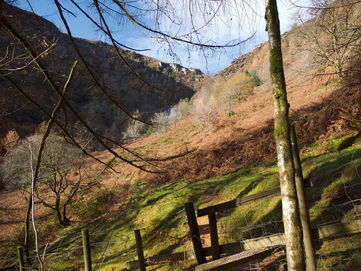 Maesyfelin Isaf B&B Llanybyther Dış mekan fotoğraf