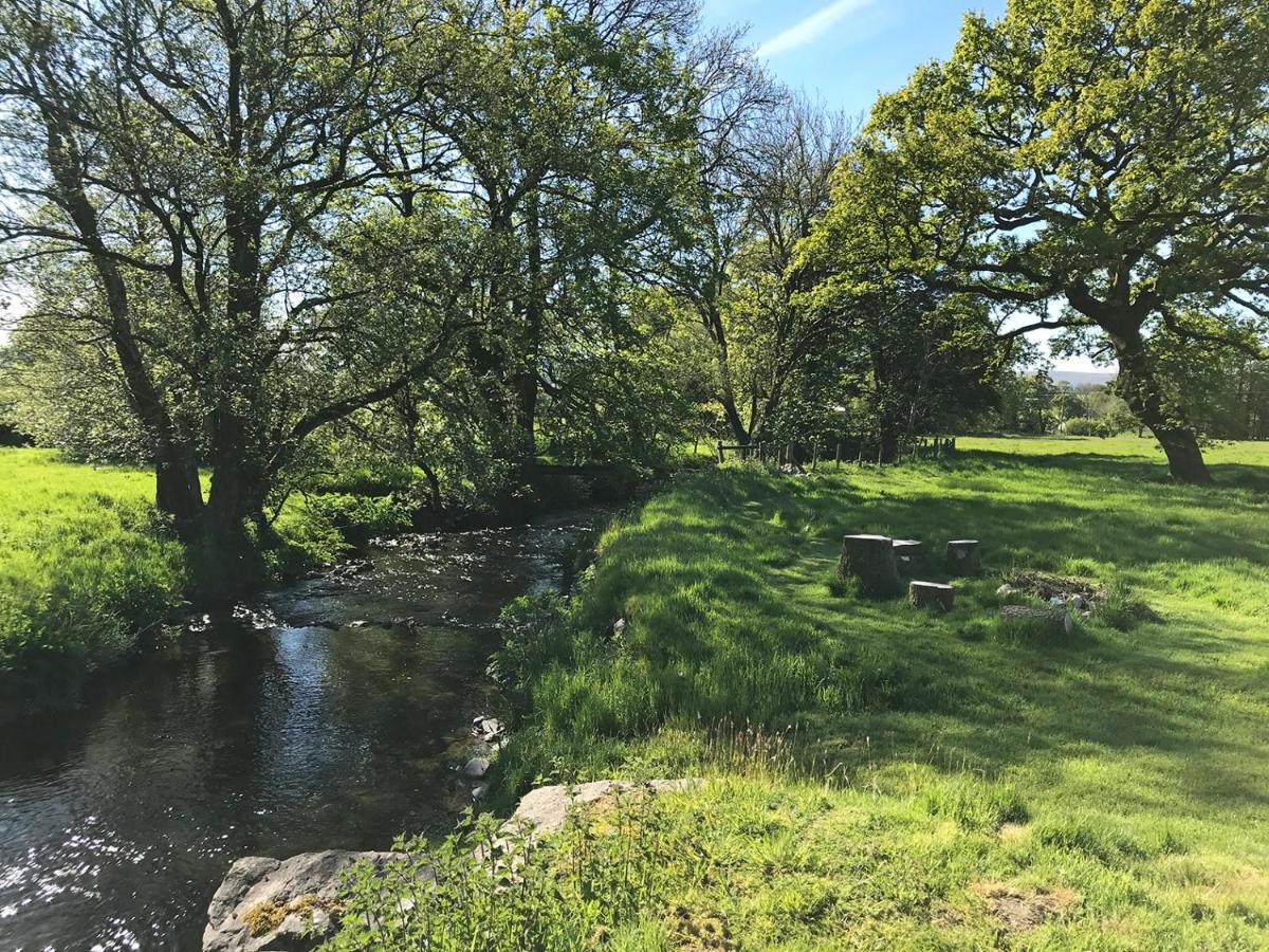 Maesyfelin Isaf B&B Llanybyther Dış mekan fotoğraf