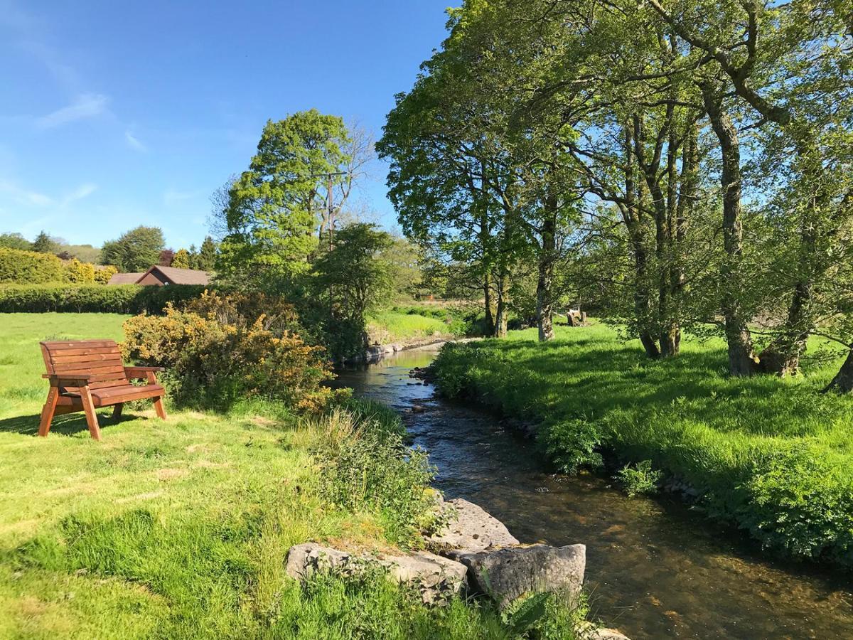 Maesyfelin Isaf B&B Llanybyther Dış mekan fotoğraf